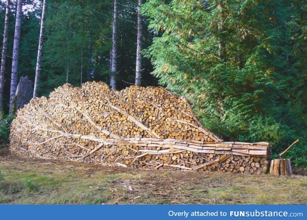 Firewood stacked to look like a tree