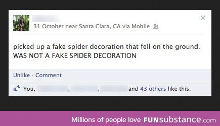 Spider decoration