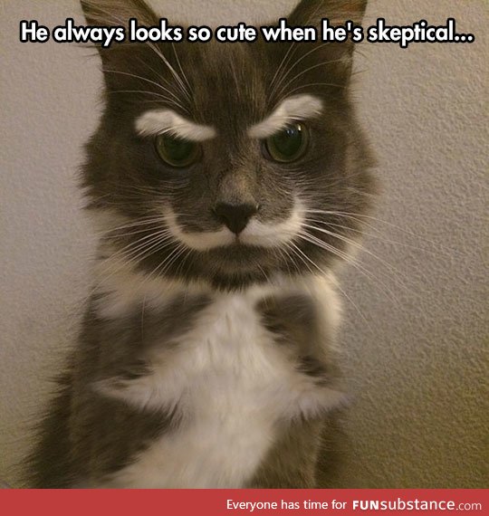 Skepticat