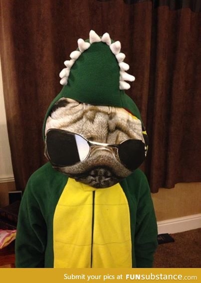 Me in a crocodile onesie