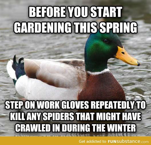 A friendly reminder now that it's spring