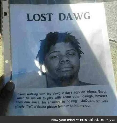 *REWARD* lost dawg