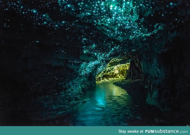 Glowworm Caves, Waitomo, New Zealand