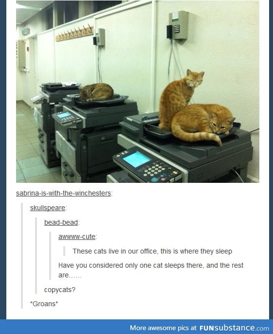 Copycats