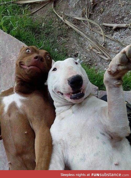 SELFIES!