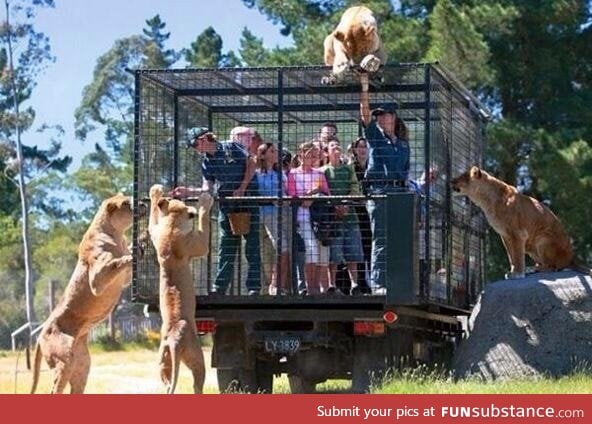 A Zoo in New Zeland locks up visitors instead of animals