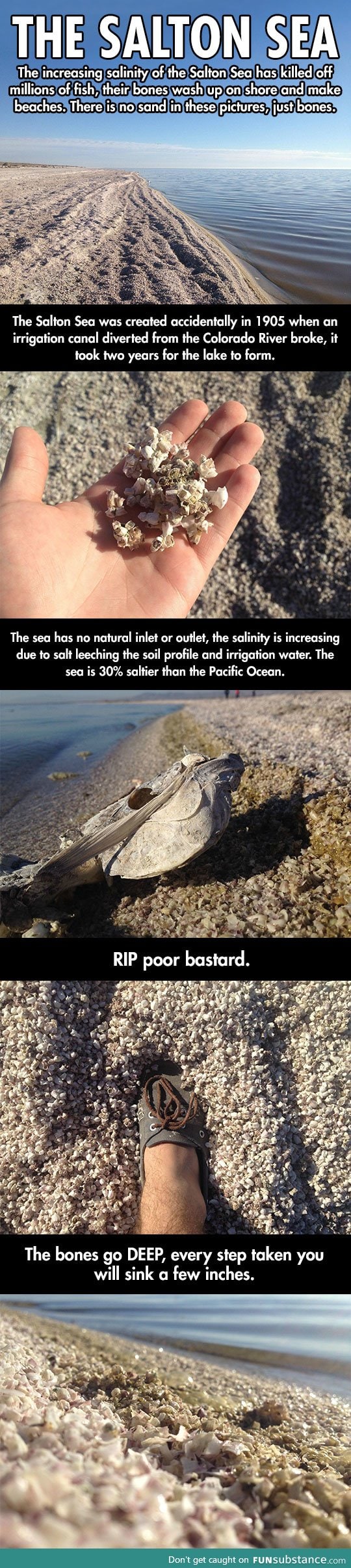 The creepy story of the Salton Sea