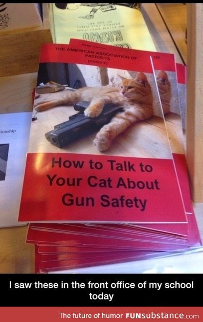 Gun safety