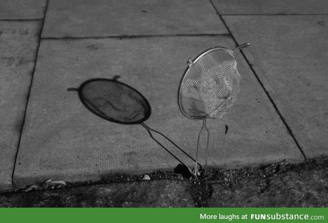 Strainer shadow