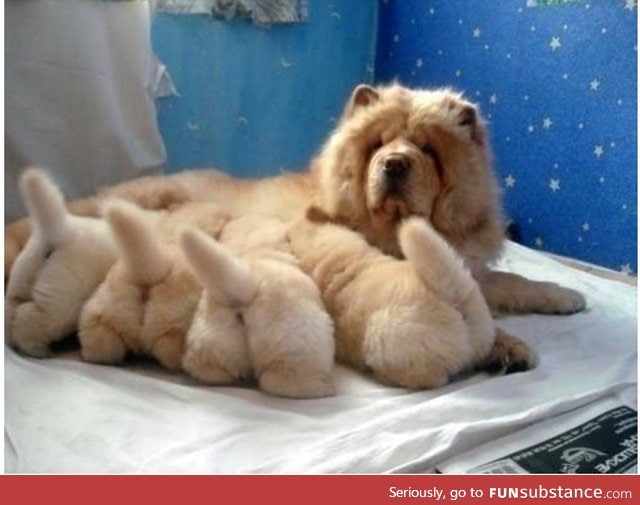 Oh my god! I love fuzzy butts!!!