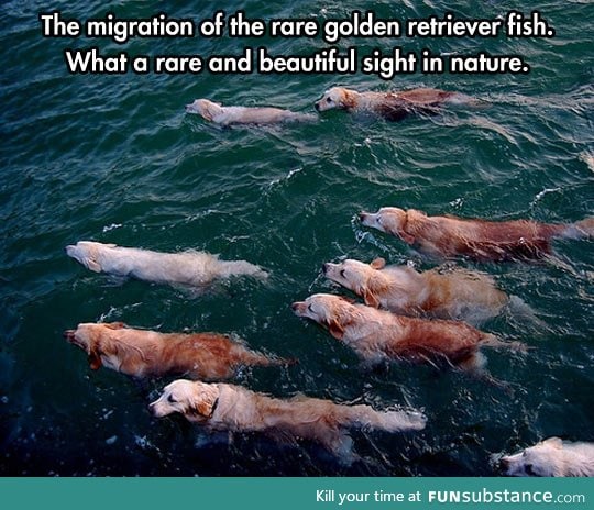 Very rare nature phenomena