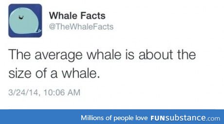 Fun Fact: #6