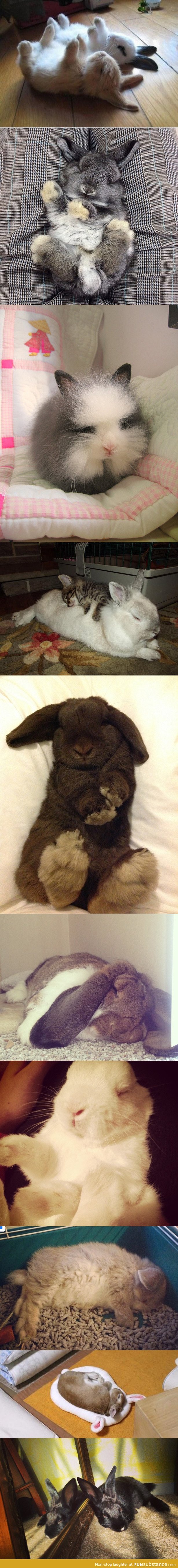 Somebunny needs a nap...