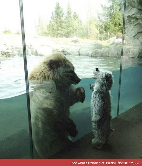 He wanted to go dressed as a bear.