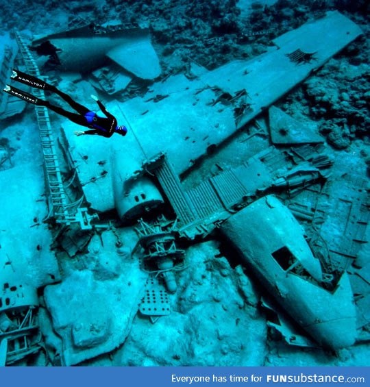 Underwater plane wreck