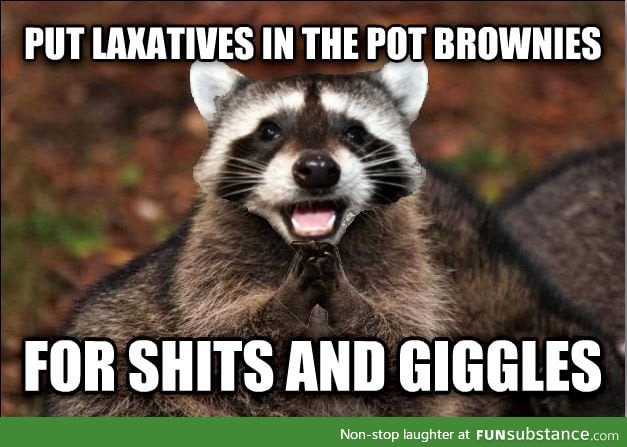 Evil pun coon