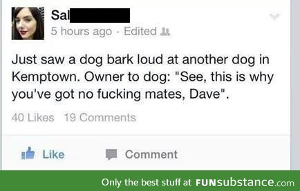 Get your shit together, Dave