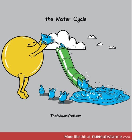 The Water Cycle