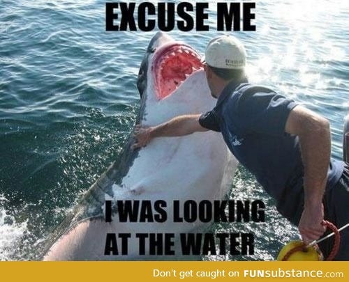 Sharks are sooo rude