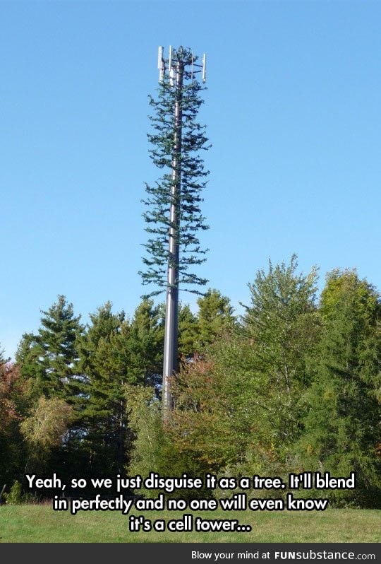 Day 43, Humans Still Think I'm a Tree