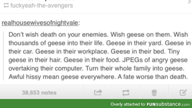 Geese