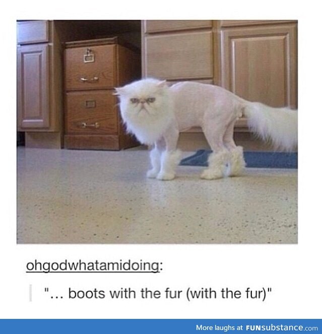 Boots With The Fur (With the Fur)