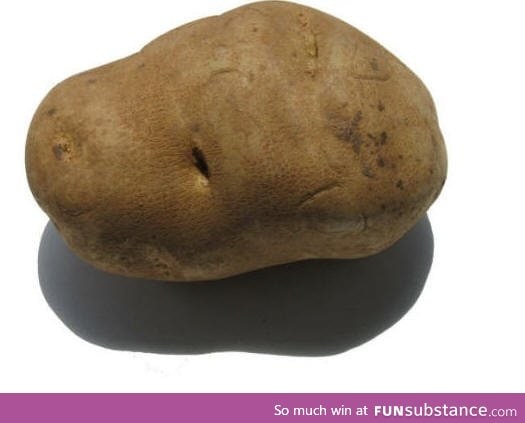 Potato