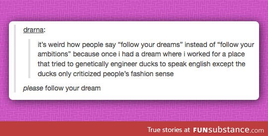 Follow your dreams