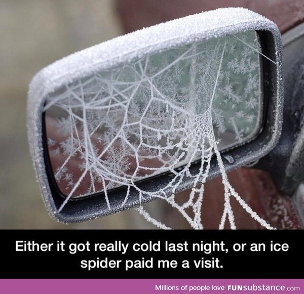 ice spider