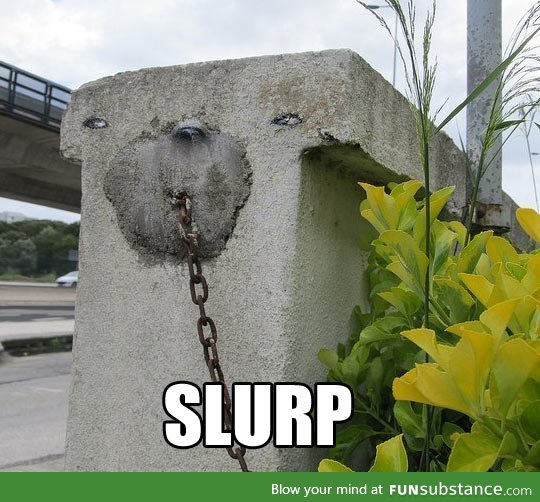 Slurp