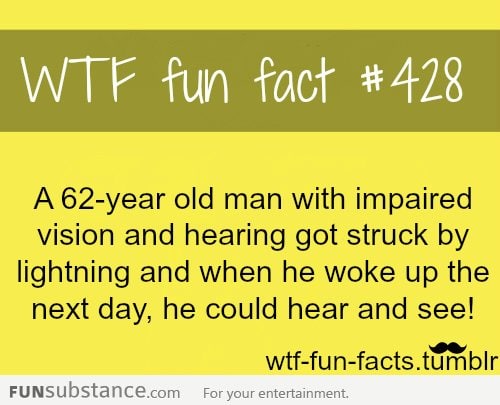 wtf fun facts