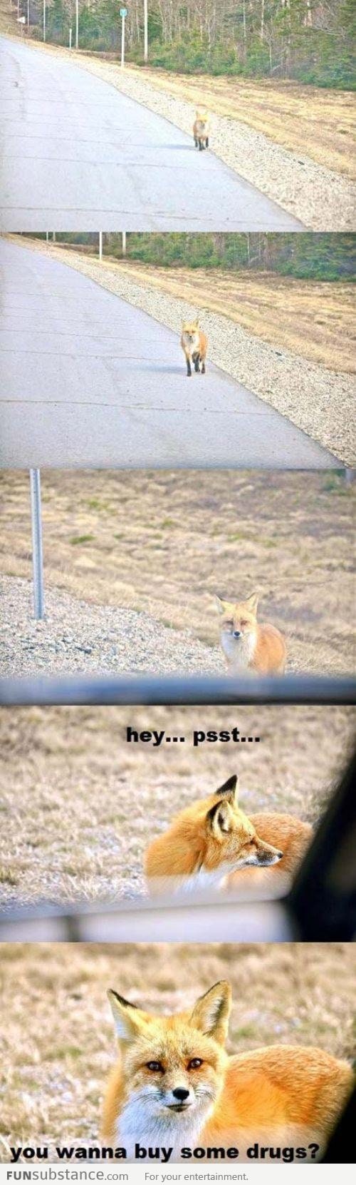 Hey, psst