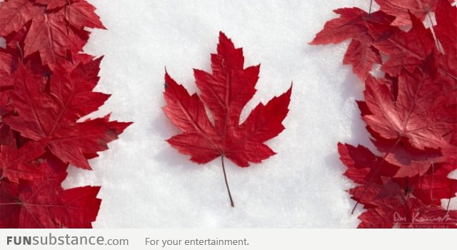 The Flag of Canada