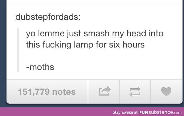 Moth logic