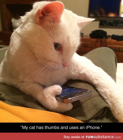 Cat has thumbs