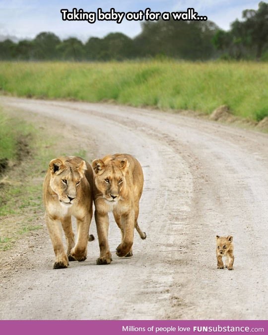 Look at how proud they are