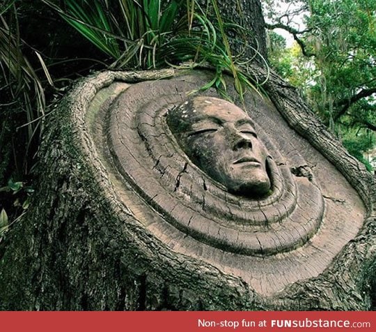 Carved in a forest by Keith Jennings