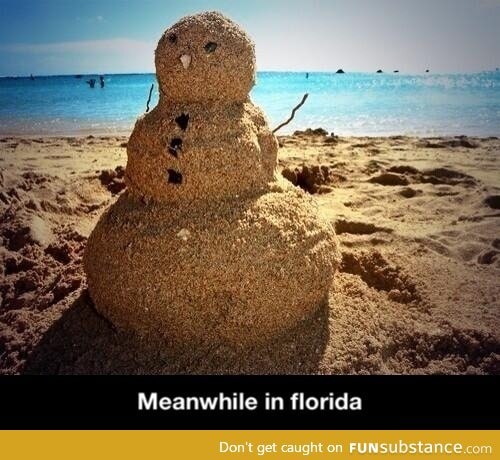 Meanwhile in Florida