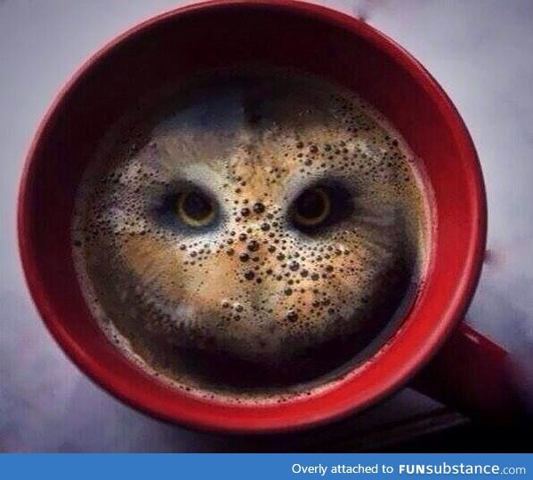 After having two hula hoop crisps dropped in it, this coffee looks like an owl