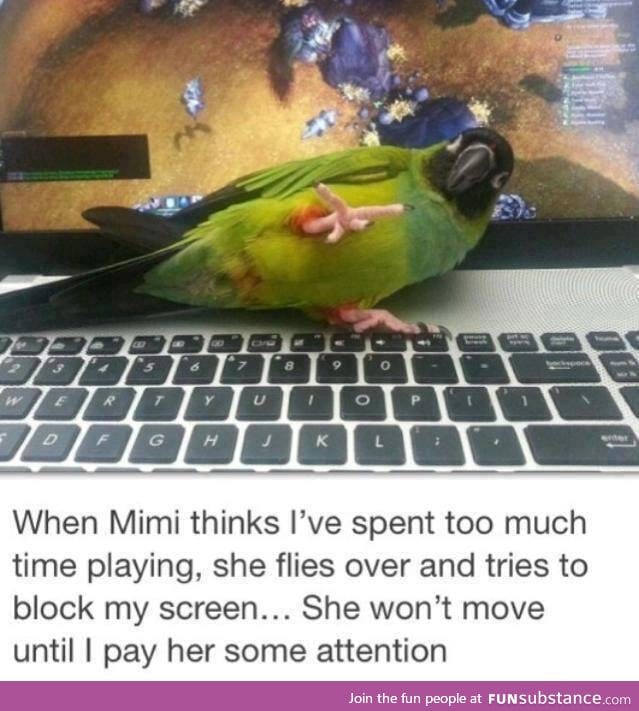 Mimi