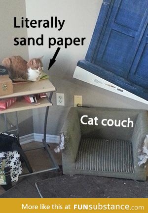 Cat logic