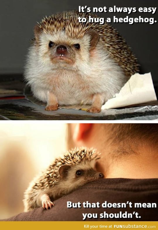 Hugging a Hedgehog