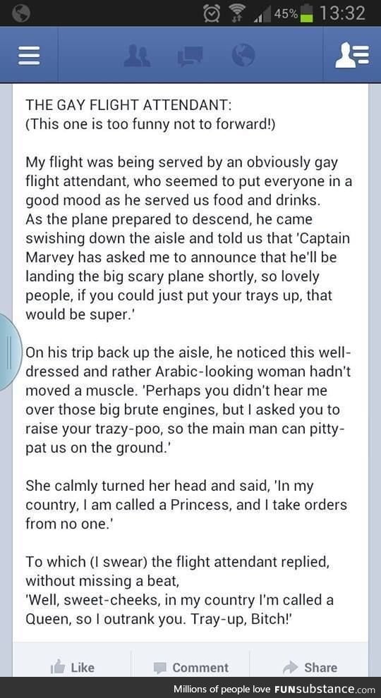 Gay Flight Attendants are the best