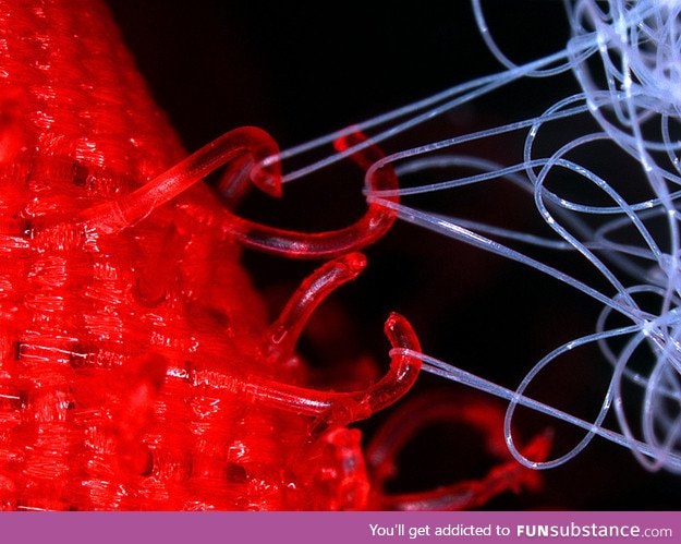 Velcro under a microscope