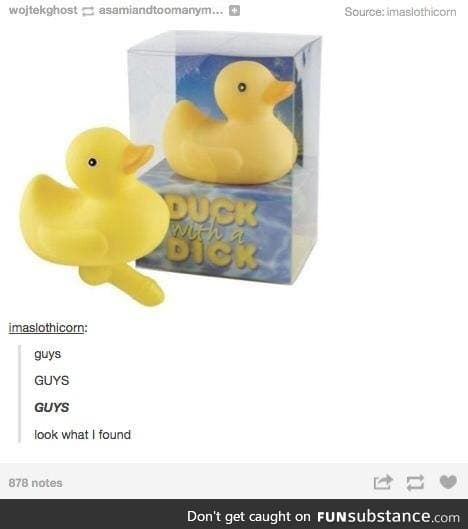 What the Duck