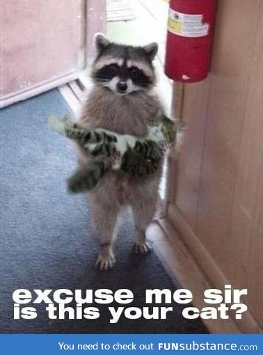 Excuse me, sir?