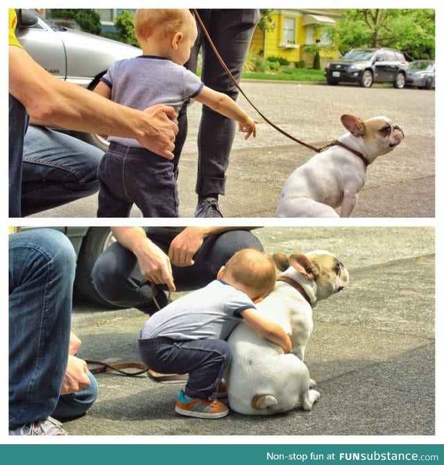 Little boy meets french bulldog