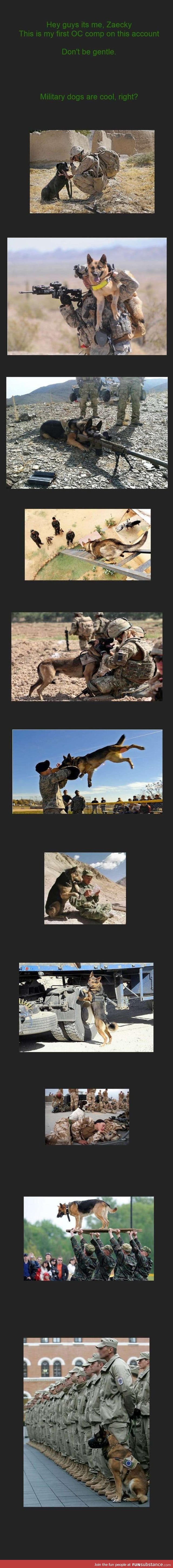 Military dog compilation