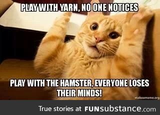 Not the Hamster!