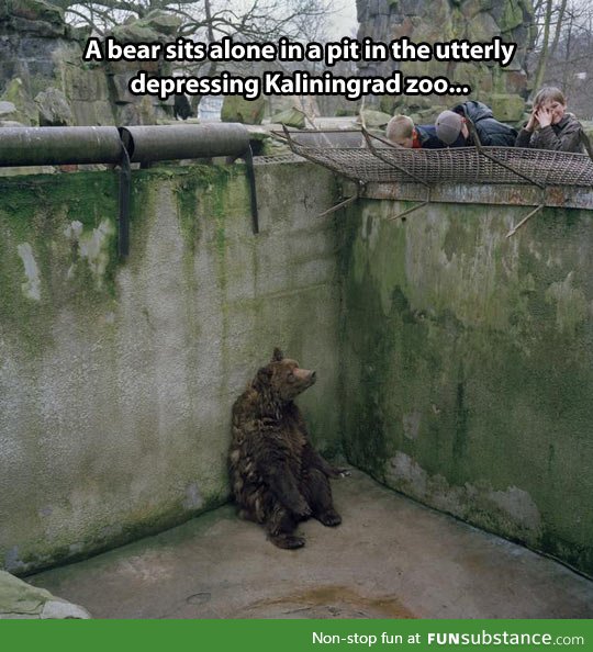 He can't bear the injustice